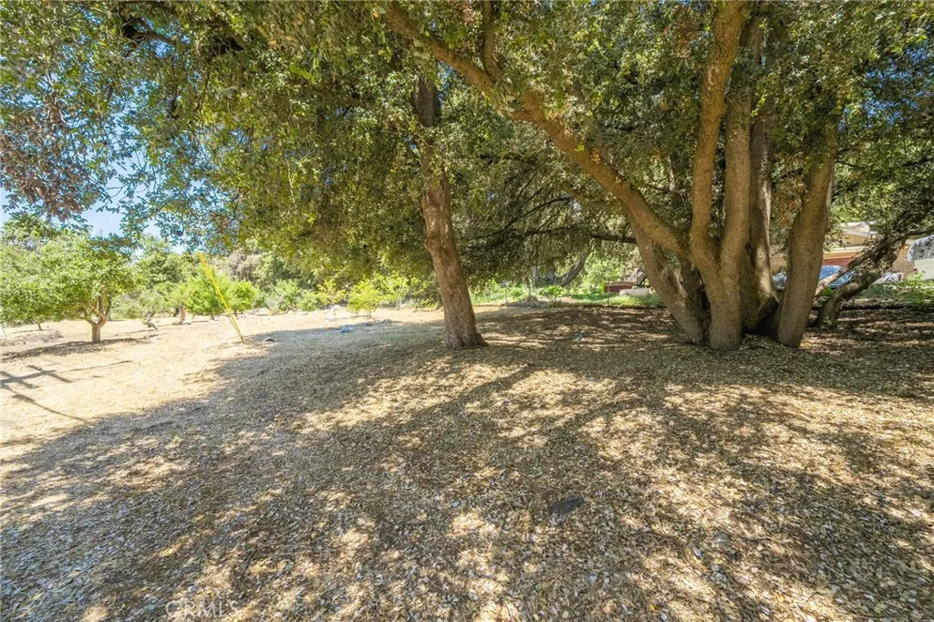 Oak Glen, California 92399, United States, 4 Bedrooms Bedrooms, ,3 BathroomsBathrooms,Residential,Active,36691