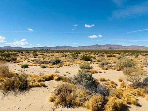 0 041734203 Barstow CA 92311