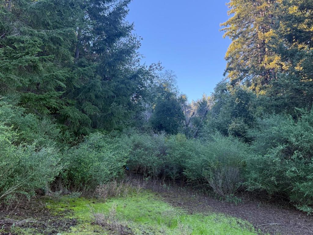 20525 Iron Springs Road