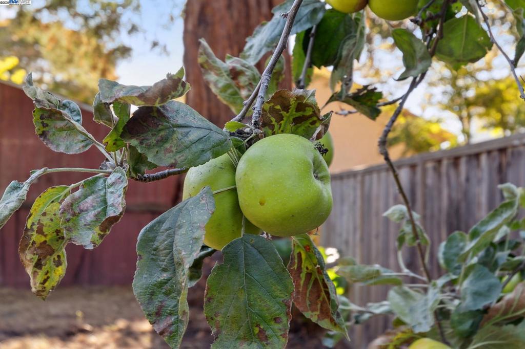 EAST END - Residential