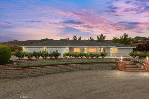 325 Canyon Road Pinon Hills CA 92372