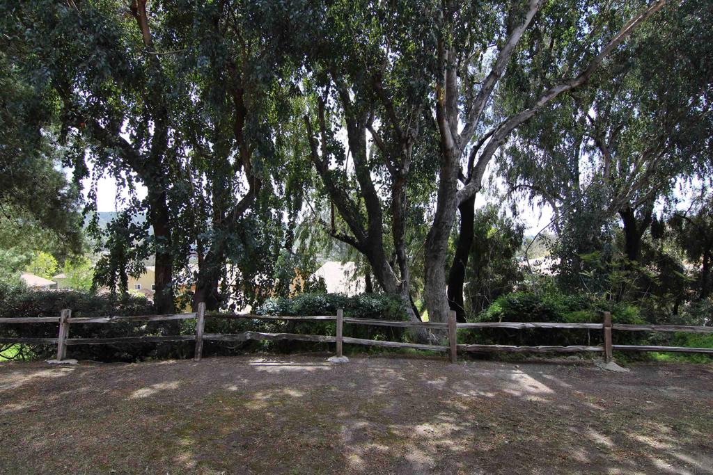 13754 Caminito Vizzini