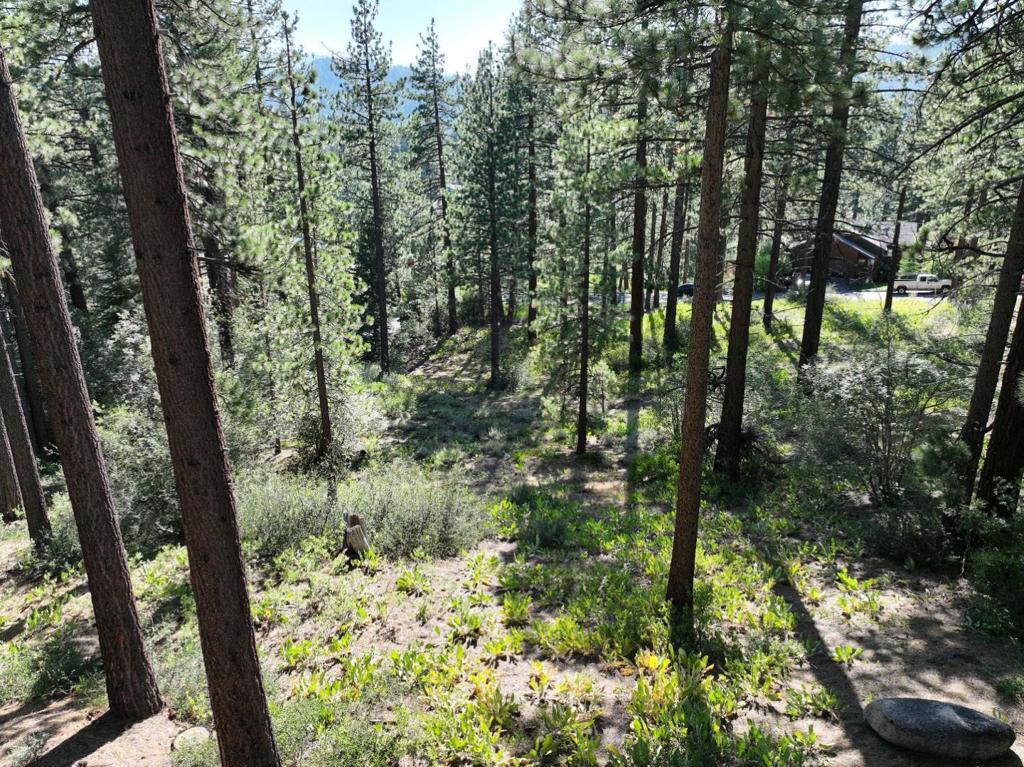 881 Onnontioga Street in South Lake Tahoe is a 10,019 square foot parcel of residential vacant land in Addition #3 of Tahoe Paradise. A legacy estate lot on a paved street with sewers and electric at the street. The lot boasts a wide street frontage and mature trees and some brush. This land has been in the family for years and is being sold as part of a trust sale. Inquire for more about 881 Onnontioga and owning this beautiful piece of property for enjoyment, investment, research, living unit and square footage allotment, ideally located in the Tahoe Paradise Community of South Lake Tahoe.