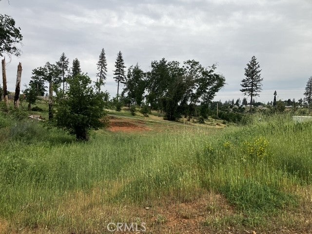 1318 Pearson Road