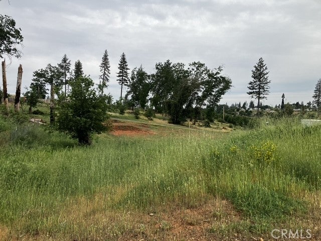 1318 Pearson Road