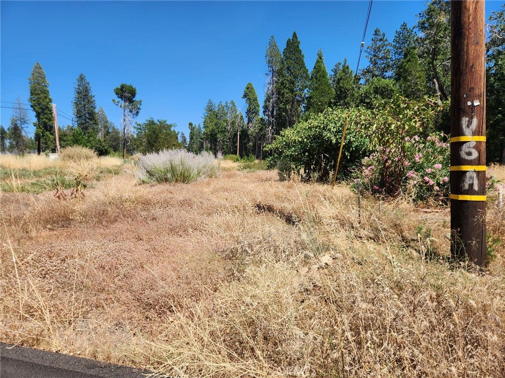 6307 Glendale