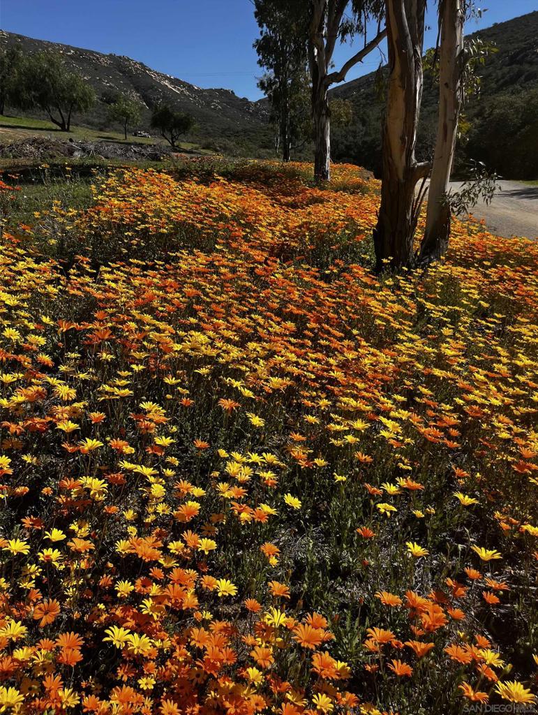 Alpine - Residential