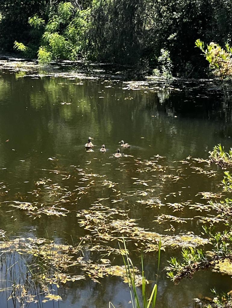 Alpine - Residential