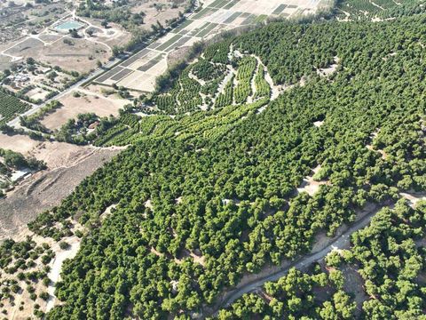 Photo of 32375 Sam's Mountain Road, Pauma Valley, CA 92061 (MLS # 260007186SD)