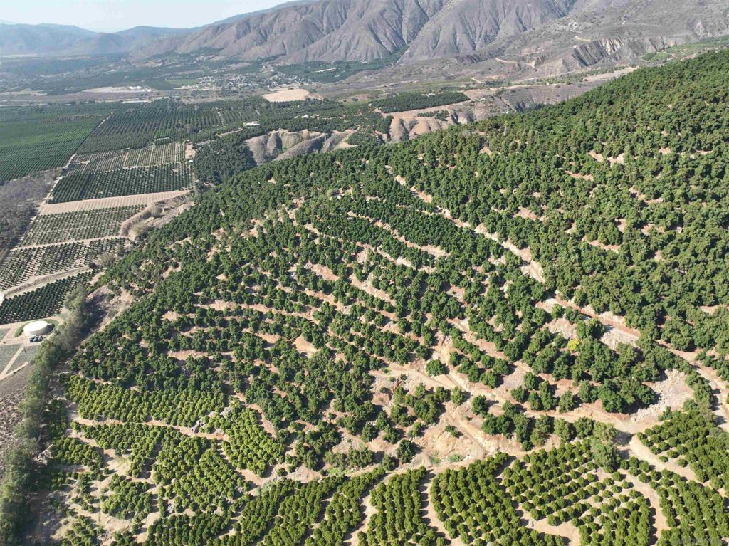 32375 Sam's Mountain Road