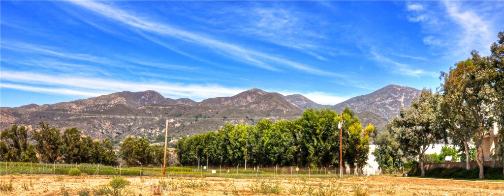 Mission Courts (R1) (MC) - Residential