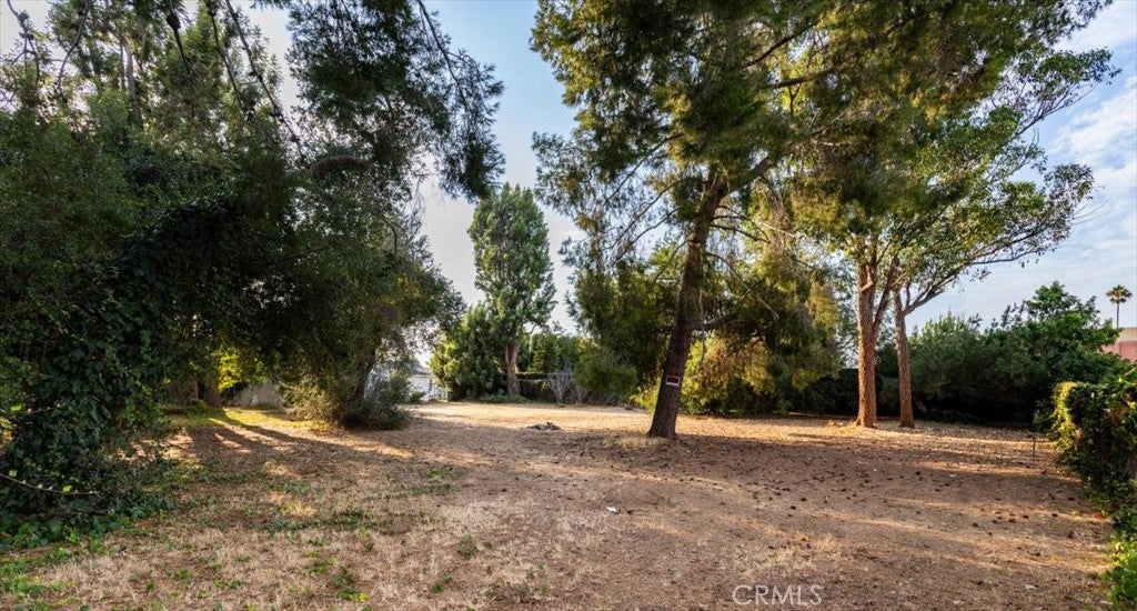 1517 Freeman