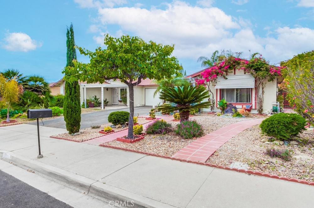 1441 Peacock Boulevard