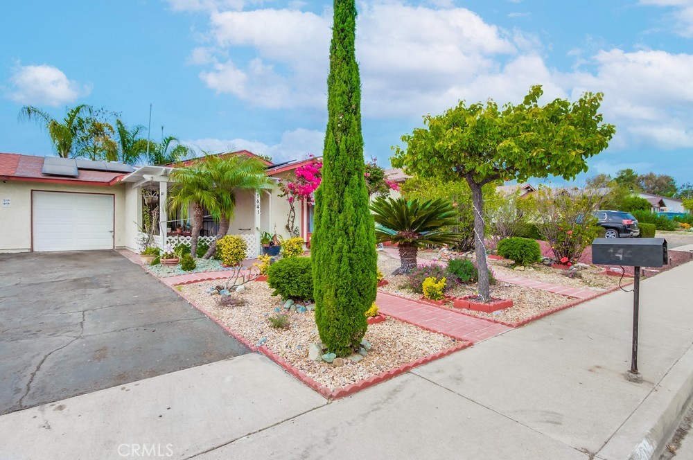 1441 Peacock Boulevard