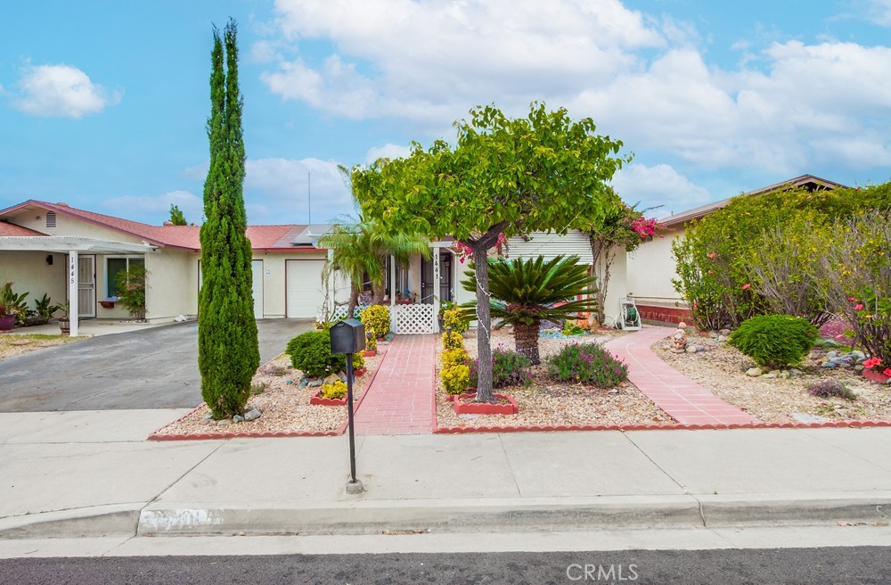 1441 Peacock Boulevard