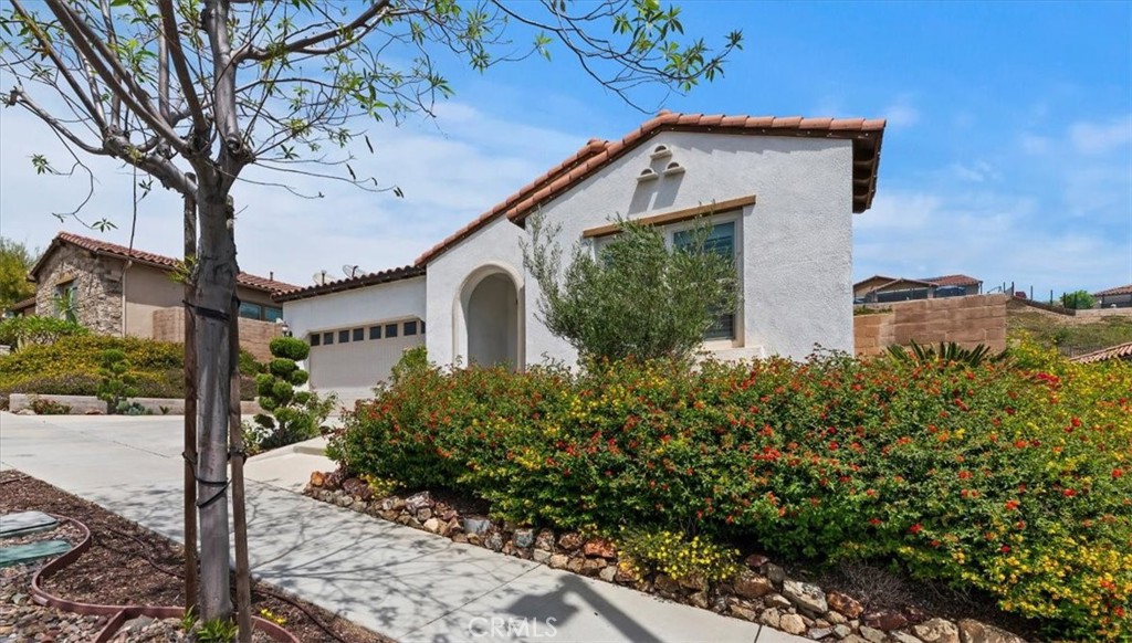 24636 Overlook Drive