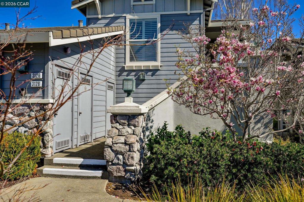 3126 3126 Grey Eagle Dr