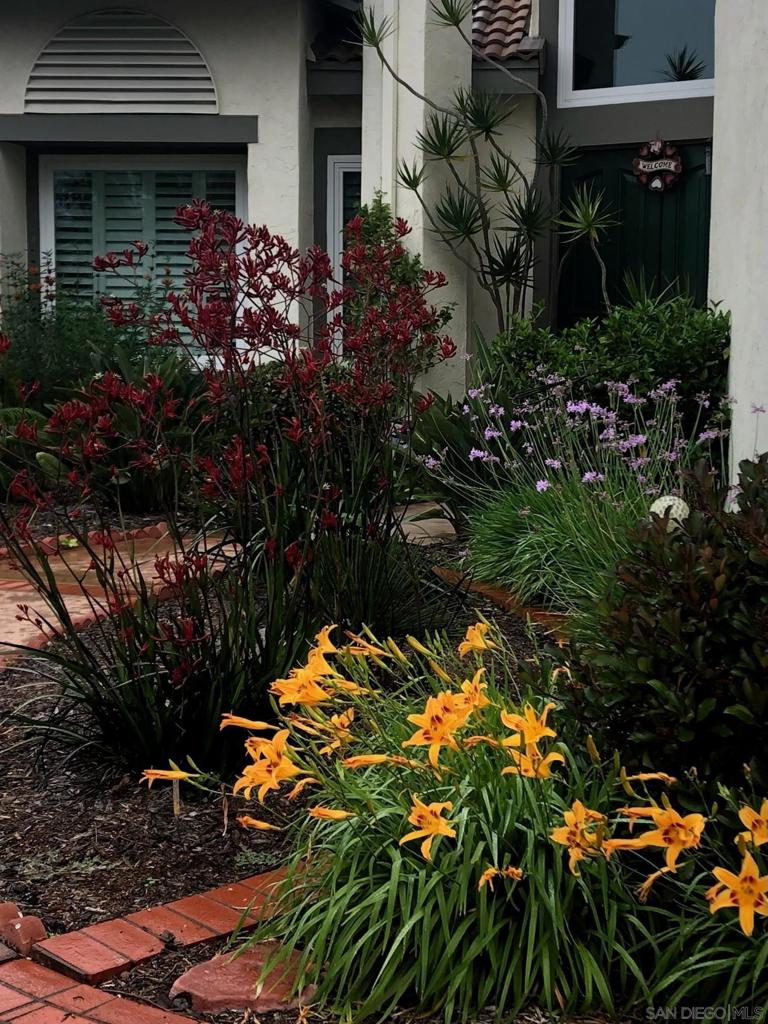 Encinitas - Residential