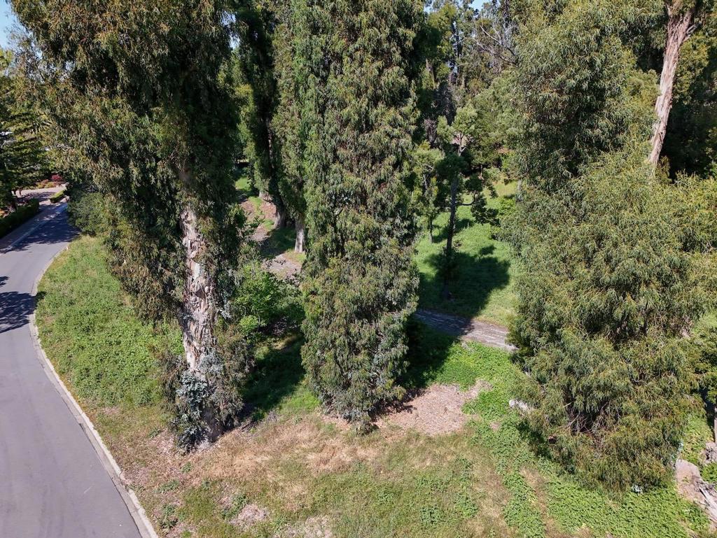 25 Fagan Drive
