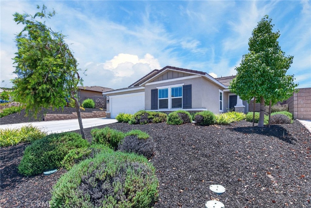 22701 Summer Sage