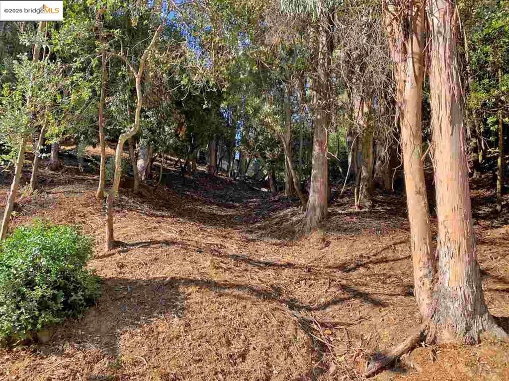 Great gently sloping lot in Montclair. The seller prefers to sell the adjacent lot with this one for a total asking price of $188,000. The adjacent lot is listed separately with its own MLS number. Survey and soils reports are completed saving the buyers time and money.
