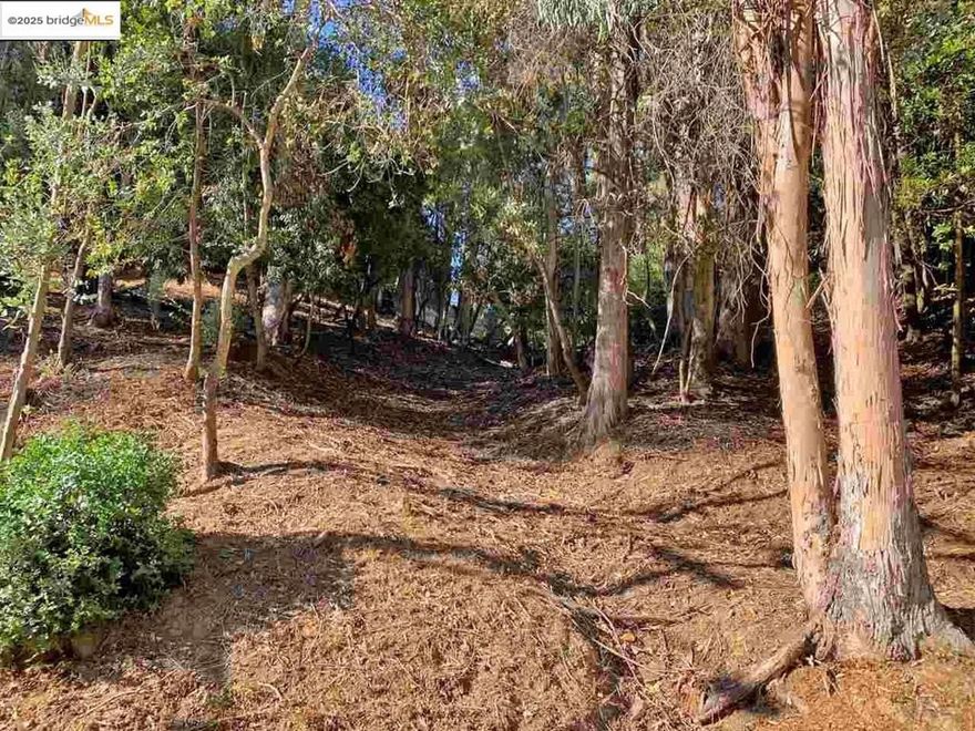 Great gently sloping lot in Montclair. The seller prefers to sell the adjacent lot with this one for a total asking price of $188,000. The adjacent lot is listed separately with its own MLS number. Survey and soils reports are completed saving the buyers time and money.