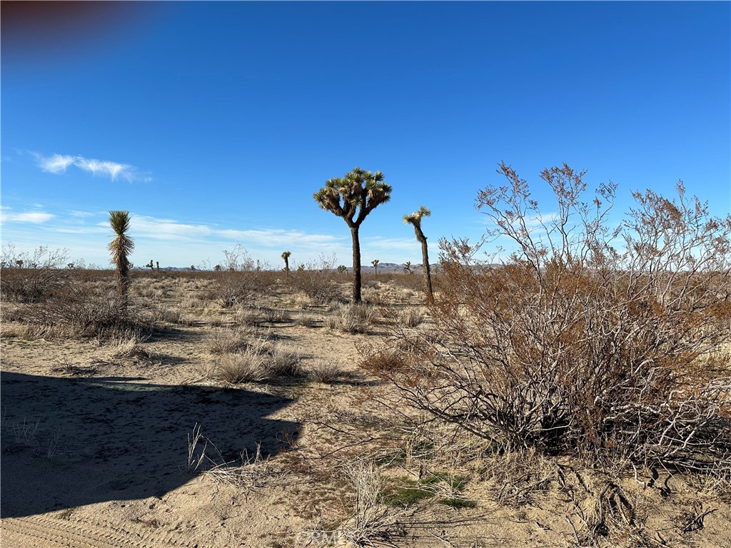 2 Wilson Ranch Road