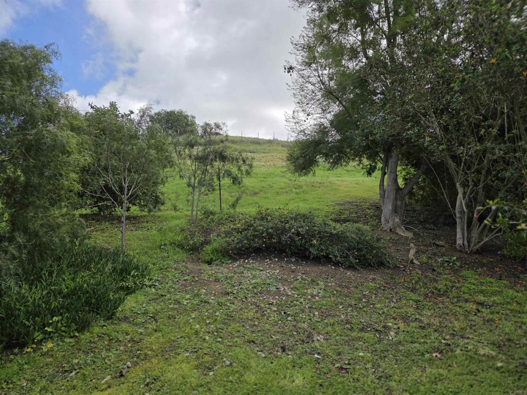 2596 Green Canyon Road