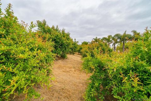 Tiny photo for 5320 Olive Hill Trl, Bonsall, CA 92003 (MLS # 260005384SD)