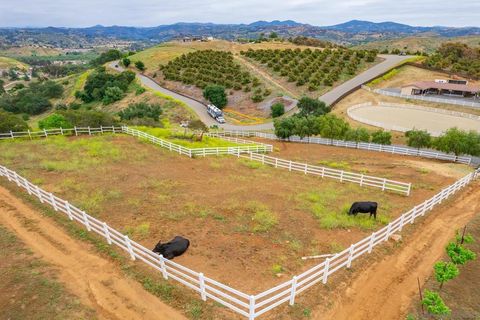 Tiny photo for 5320 Olive Hill Trl, Bonsall, CA 92003 (MLS # 260005384SD)