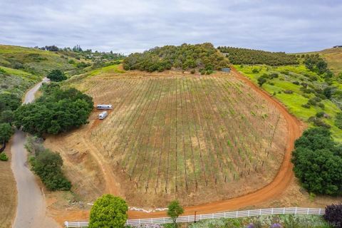 Tiny photo for 5320 Olive Hill Trl, Bonsall, CA 92003 (MLS # 260005384SD)