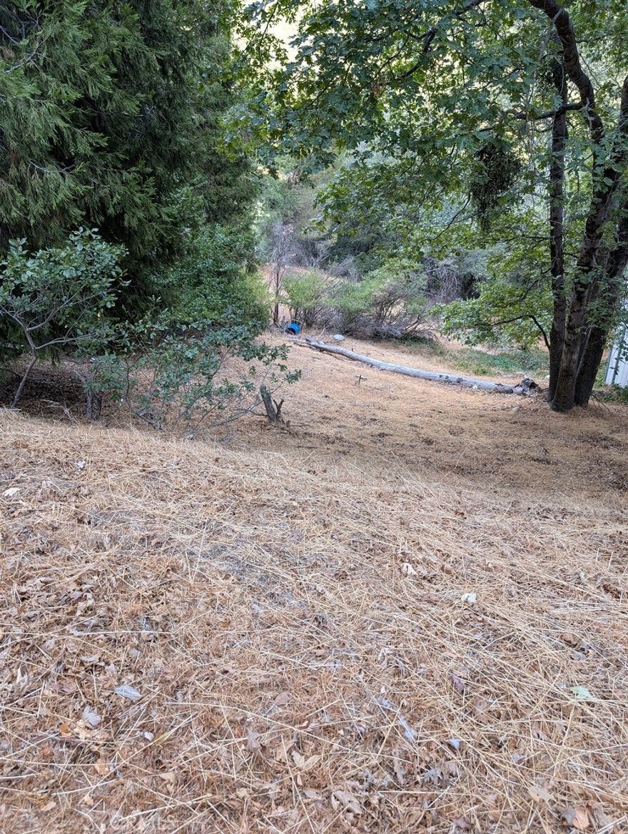 This property is an unimproved lot in between two developed SFR lots in the desirable San Moritz Tract area. Imagine living near Lake Gregory (within walking distance for recreation like hiking, fishing, boating, and watersports) and close to downtown Crestline amenities, including shopping, dining, and the Lake Gregory Recreation Area. Build your mountain living dream right here! The lots on either side of yours have been developed with Single Family Residences which this site is zoned for. Utilities (water, electricity, gas, sewer/septic) should be available on this mostly developed street, but buyer is expected to confirm this and any other information provided in this listing for accuracy. Lot is in between 24720 and 24728 Edelweiss.