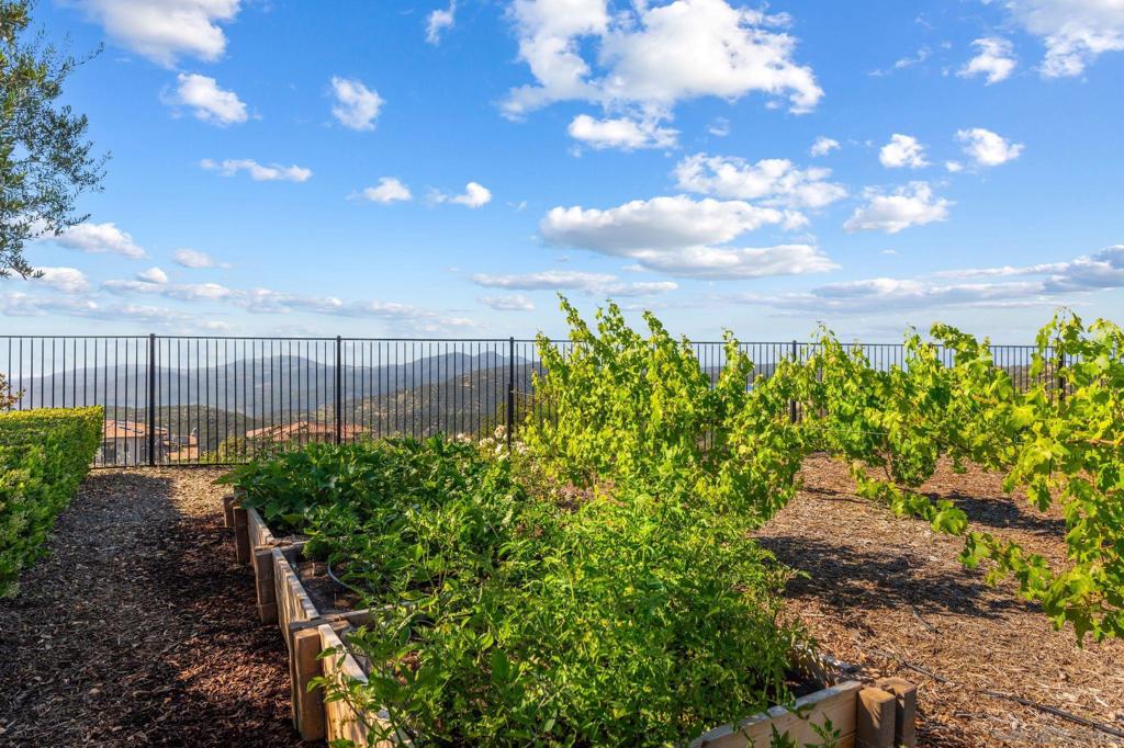 Rancho Santa Fe - Residential
