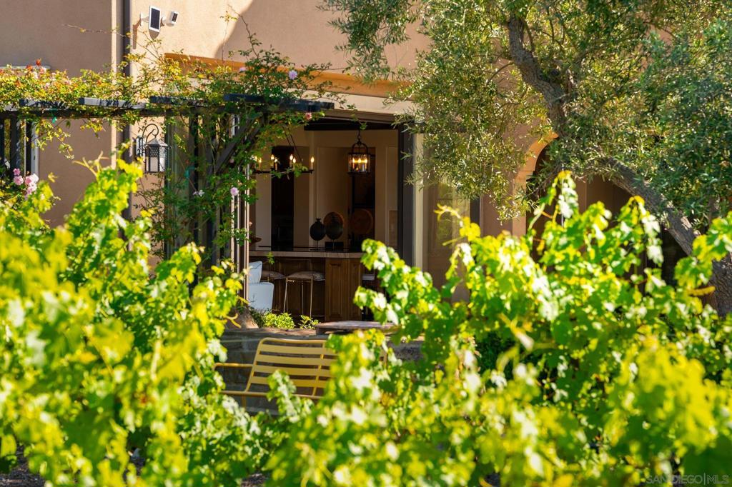 Rancho Santa Fe - Residential