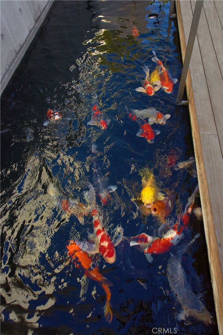 Irvine Cove (IC) - Residential