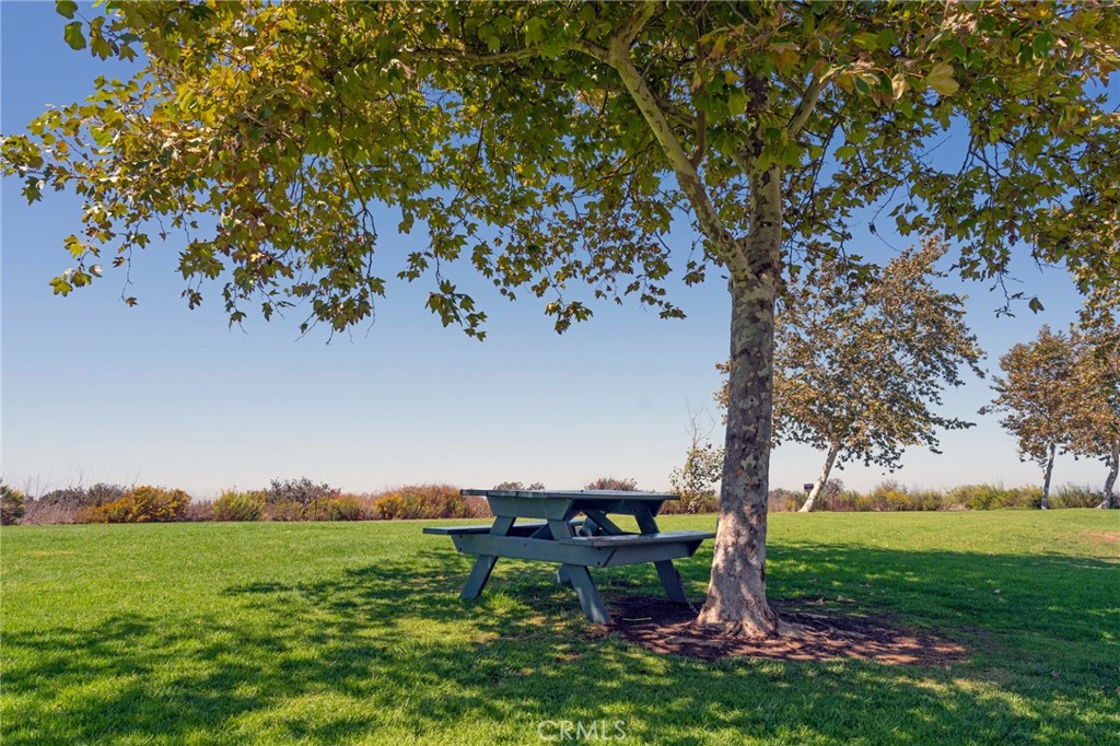 - - Residential Lease