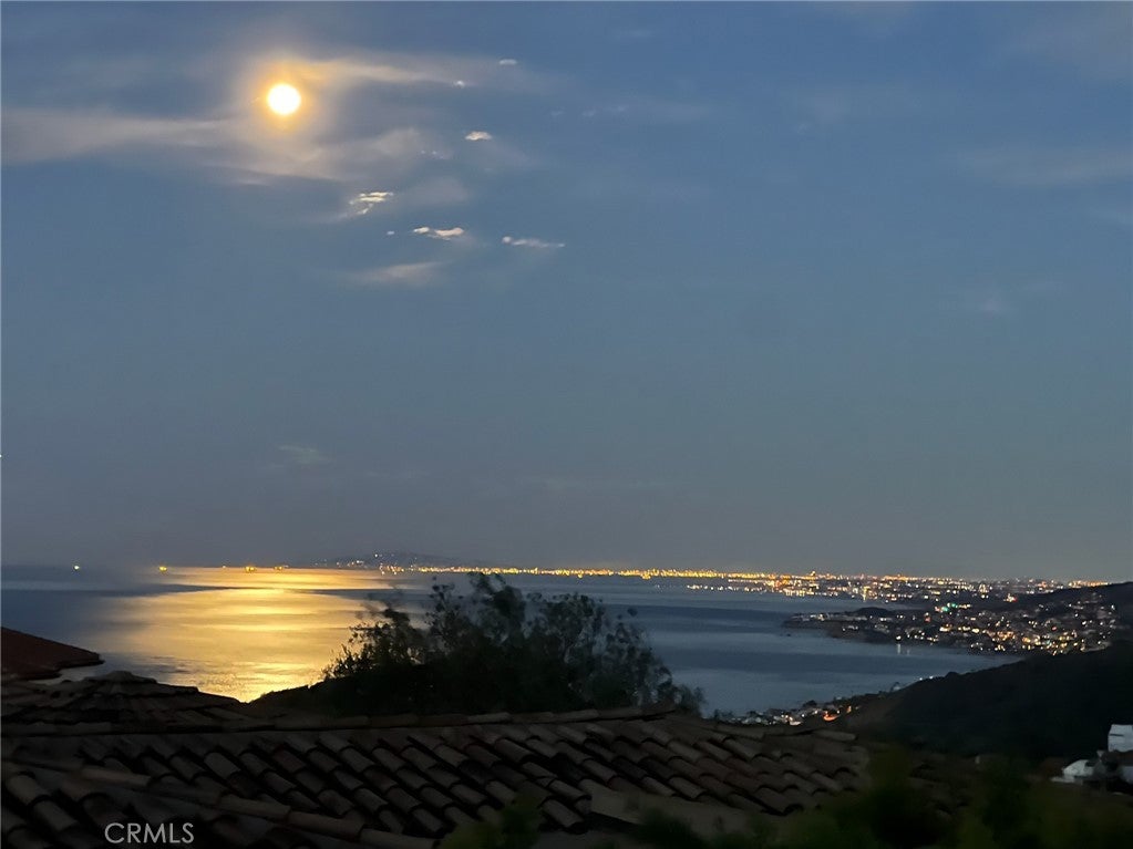 22 Le Conte, Laguna Niguel CA 92677 - Photo 71