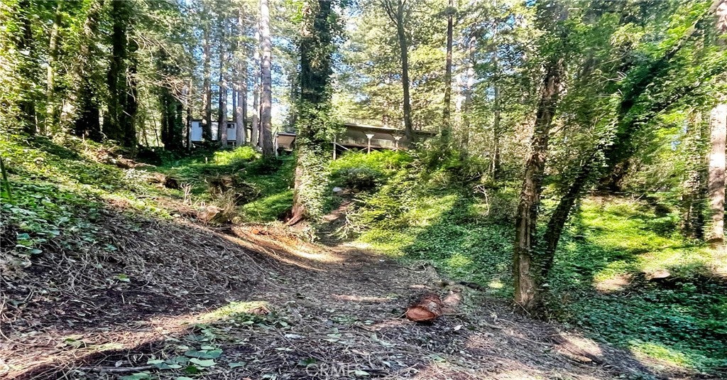 18176 HWY 116