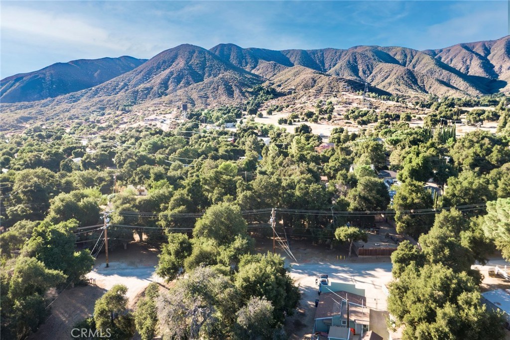 2 ADJACENT LOTS FOR SALE. WATER METER ON ONE LOT INCLUDED! Discover a rare opportunity in the serene community of Green Valley, just 20 miles northeast of Santa Clarita yet worlds apart in peace and beauty. Two parcels, each just under 5,000 sq ft, are being sold together—one equipped with a WATER METER for convenience. Together, they offer nearly 10,000 sq ft of usable land in a setting that blends small-town charm with big-sky vistas. Nestled in the Sierra Pelona Mountains, Green Valley is known for its rural character, scenic surroundings, and welcoming, close-knit community. Residents enjoy a slower pace of life, fresh mountain air, and starlit skies, while still being accessible to major shopping, dining, and freeways. This property provides a versatile canvas: build your dream retreat, a cozy cabin, or even explore a unique bed-and-breakfast concept in a truly one-of-a-kind setting. Adjacent to this offering, to the left (lots 019 and 021), is another pair of lots—also with a water meter—available separately, creating even more possibilities for the savvy buyer. Whether you envision a peaceful weekend escape or a full-time residence immersed in natural beauty, Green Valley offers the perfect backdrop. Don’t miss this chance to secure land with rare utility access in a community where opportunity and tranquility meet. Easy to drive by. Use the address across the street, 39520 Calle Escada, Green Valley, for your gps. The parcels are marked. Look for the orange paint with "002" and "004". You will also see the water meter cover on the ground. Already having a water meter makes all the difference as Green Valley County Water District has a moratorium on water meters at this time.
