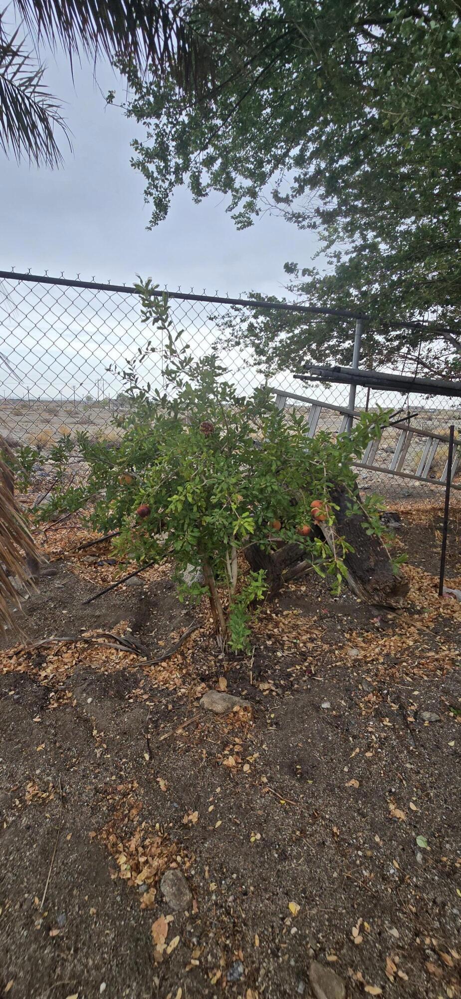 Truckhaven - Residential