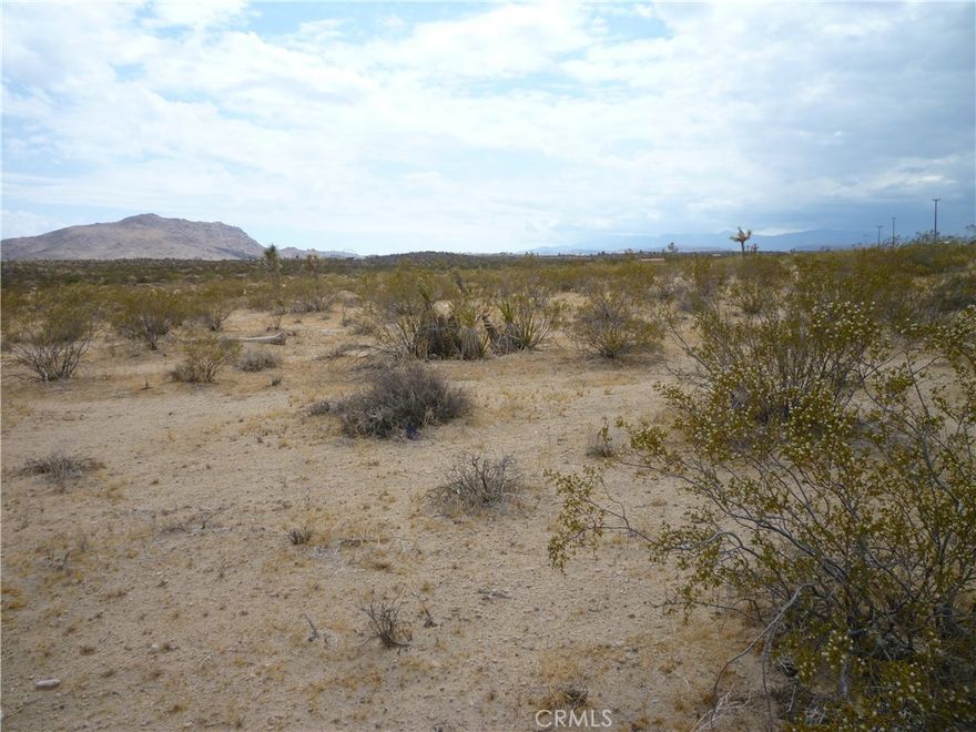 Scenic 2.92 acre parcel ready for your vision. Surrounded by 360 degree views, this flat parcel is a great location to build your dream home, vacation/second home or investment property. Minutes from the National Park, the Village of Joshua Tree and a short drive to Pappy & Harriet's. Utilities appear to be close. Want a little more elbow room? Purchase the neighboring parcel as well and make this a nearly 6 acre desert hideaway location.