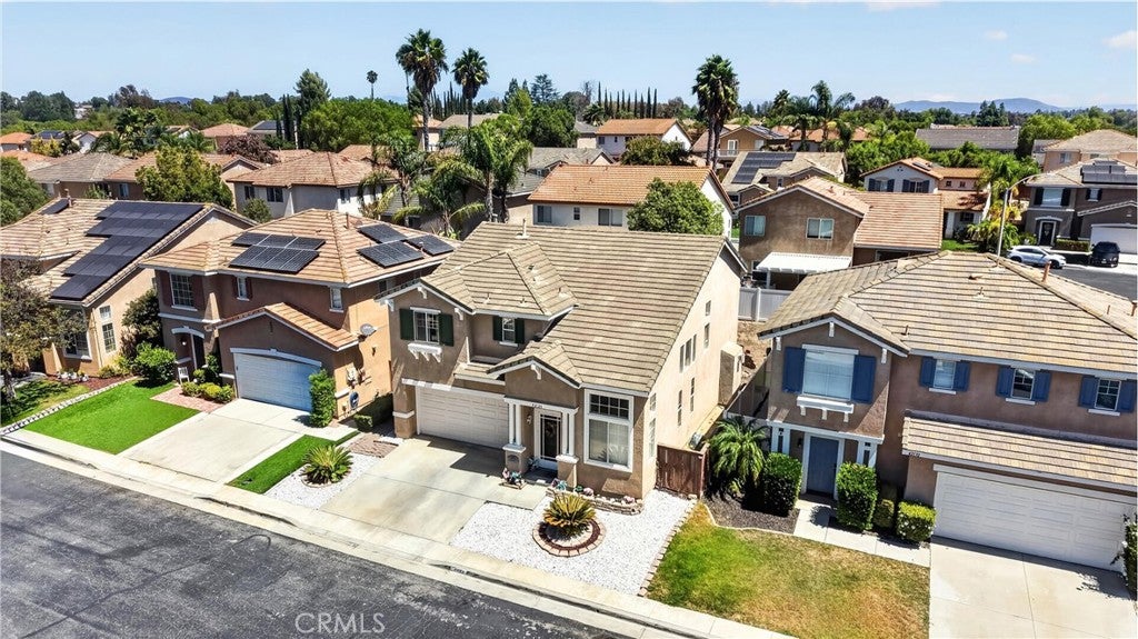 42124 Orange Blossom