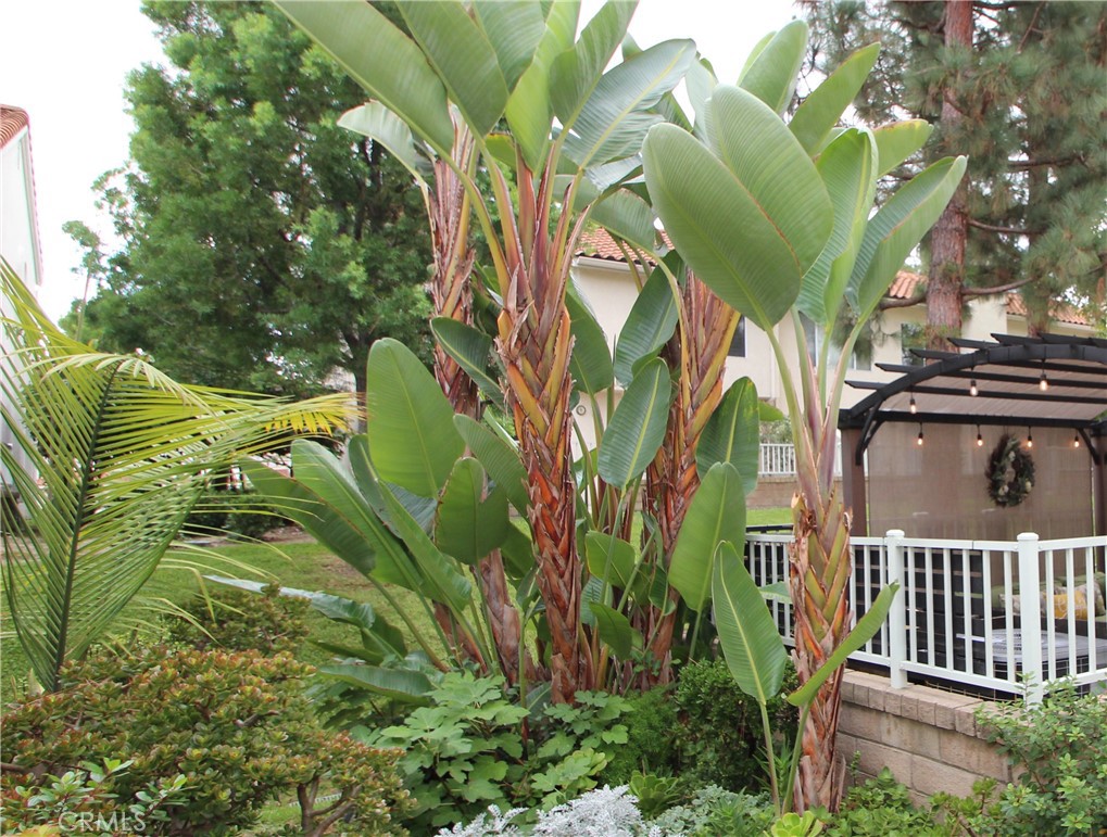 Village Niguel Gardens I (VNG) - Residential