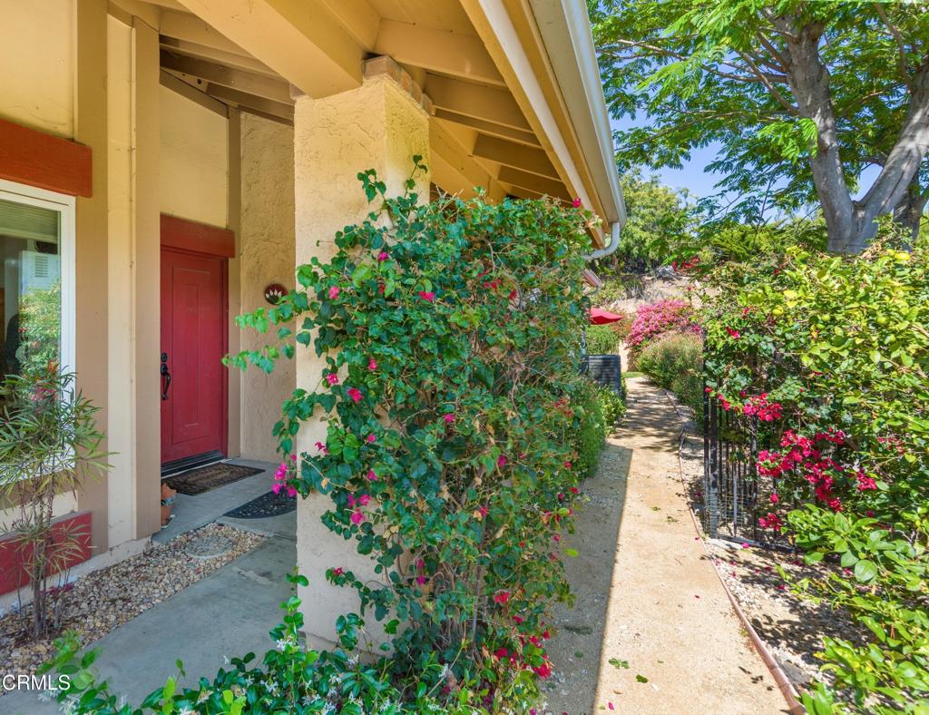 1374 Saddleback Trail