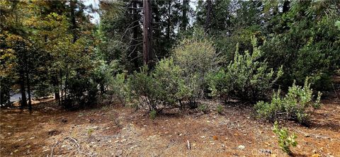 308 Pioneer Road Lake Arrowhead CA 92352