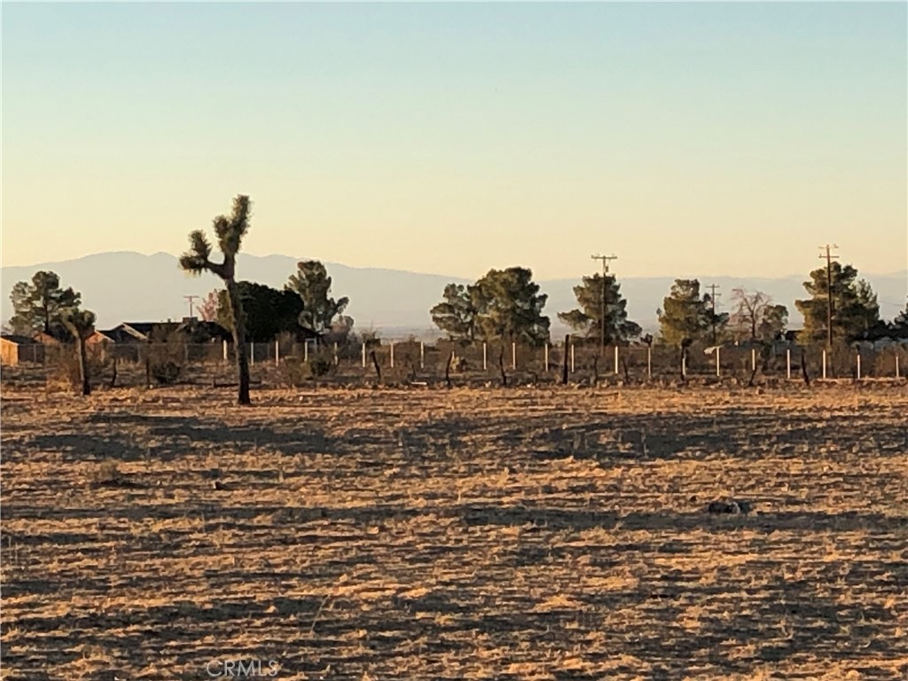 175 COR AVE W4 DRT 175 STE