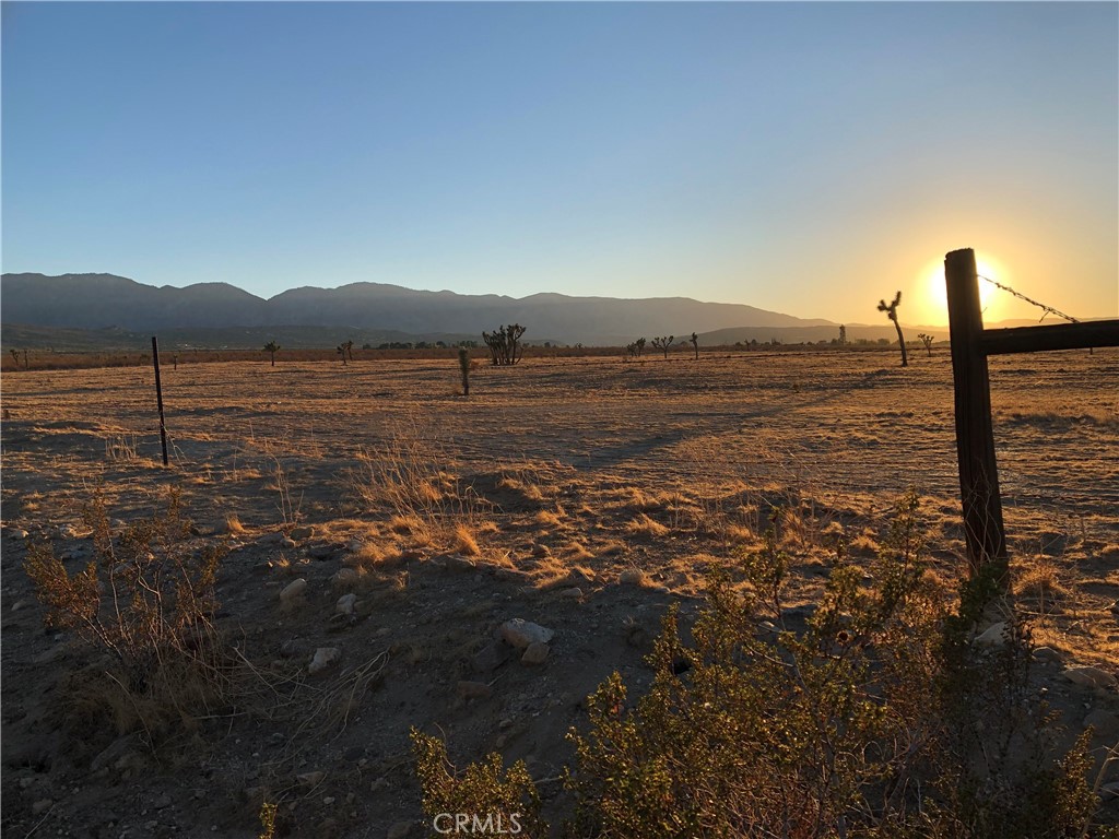 175 COR AVE W4 DRT 175 STE