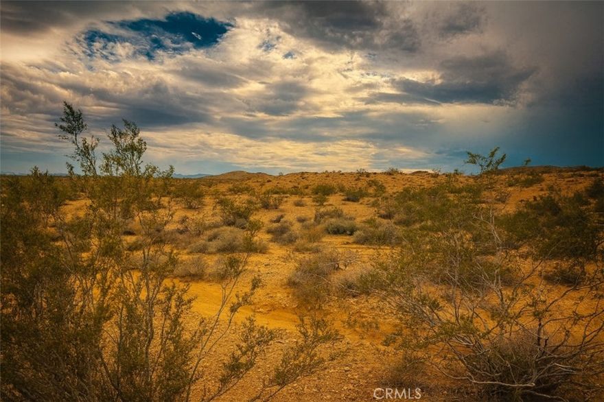 Discover a rare opportunity: five pristine acres in the Landers-Yucca Valley region, untouched and waiting for your vision. This parcel offers sweeping, unobstructed views of the Mojave desert and distant mountain ridgelines. With minimal development, the land presents a true blank slate — perfect for off-grid living, eco-retreats, or a nature-immersed escape. You’ll feel miles from the city yet still close to the charm and mystique of Landers. The terrain is classic high desert — native scrub, Joshua trees, high-desert flora, and vast open skies that make for incredible sunrises, stargazing, and quiet reflection. It’s not currently improved (no full utilities or structures), giving you freedom to build intentionally and thoughtfully. Located in the heart of the Mojave, you're just a short drive from Joshua Tree National Park, inspiring desert culture, and the remote serenity that draws creatives and nature lovers alike.