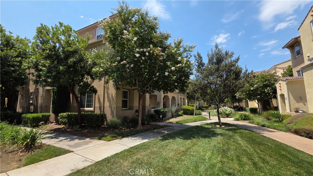 31180 Lavender Court 166