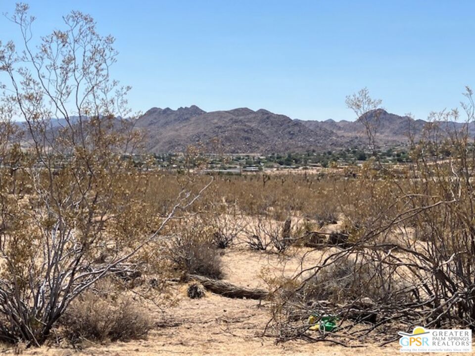 Welcome to this fabulous slice of desert paradise under wide open skies on a 20-acre vacant parcel in Joshua Tree, CA. Less than one mile from the heart of Joshua Tree Village with restaurants and shops galore, yet far enough away to take in the astounding panoramic views of our tranquil desert, nearby monumental mountains, and the village itself. By night, bask in wonder under the breathtaking star-filled skies and boundless cosmic vastness! Just far enough off 29 Palms Hwy to enjoy the privacy and solitude as you make this gorgeous desert land into your long-awaited dream. The lot is relatively flat and very buildable for your own personal retreat, or a special getaway. Two water hook ups on property but buyer will need to purchase water meters. Electrical utilities are across the street. Close proximity to Joshua Tree National Park, downtown Joshua Tree, The Integraton, and Giant Rock add to the unparalleled allure of this very special location. Cash is best, but the owner is willing to carry with 30% down, 6 3/4% interest only with a balloon payment at 5 years. The property has been divided into two 10 acre parcels, owner also willing to sell one of those parcels for $120K. Also, if interested, please be sure to ask Agent about San Bernardino County approved plan sets, construction financing and contractor referral available through Sand and Stone Design. All info to be verified by buyer.